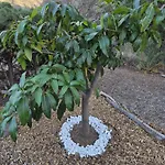 Casa Dos Barrancos Santa Cruz de Tenerife