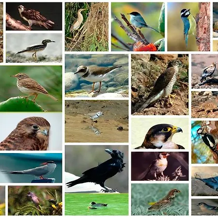 Casa Dos Barrancos *