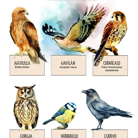 カントリーハウス Casa Dos Barrancos サンタクルスデテネリフェ