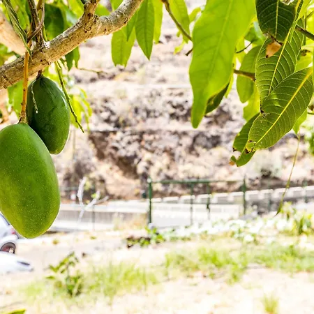 منزل ريفي Home2Book Rural Escape In Anaga & Pool سانتا كروز دي تينيريف