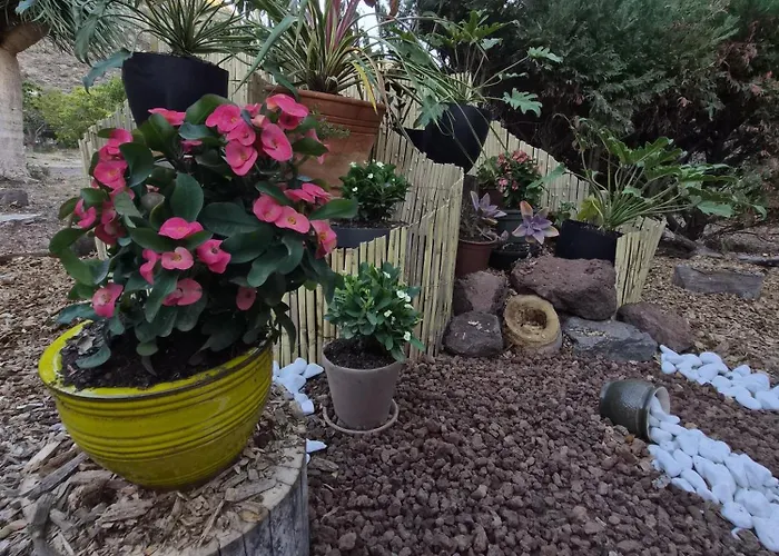 Casa Dos Barrancos Santa Cruz de Tenerife