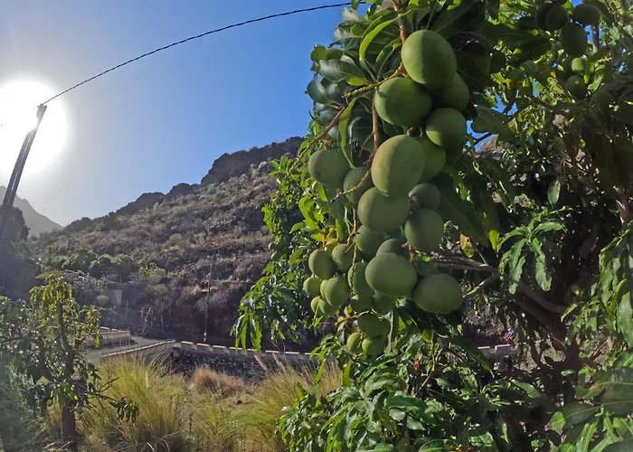 Casa Dos Barrancos Landhuis *