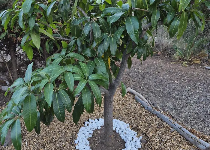 Casa Dos Barrancos Santa Cruz de Tenerife